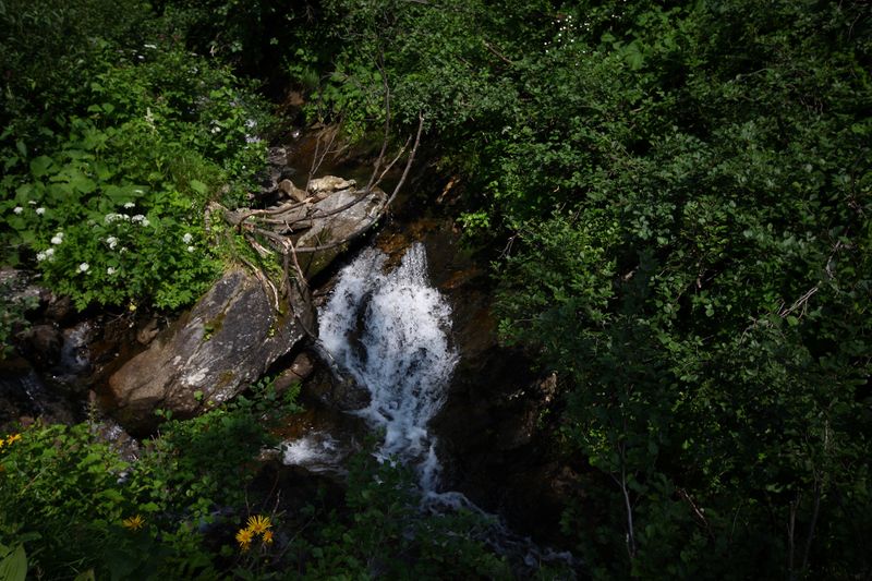 Datei:Mößnakarbach 0898 13-07-12.jpg