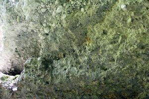 ND 356 Teichenbach Unterkainisch-0229-2025-05-01.jpg