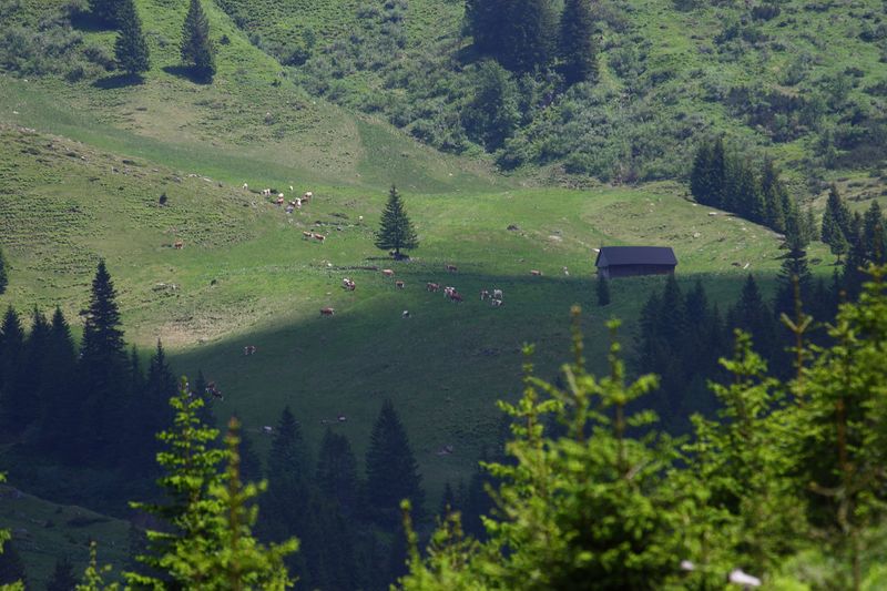 Datei:Obere glattalm 90047 2015-06-08.jpg