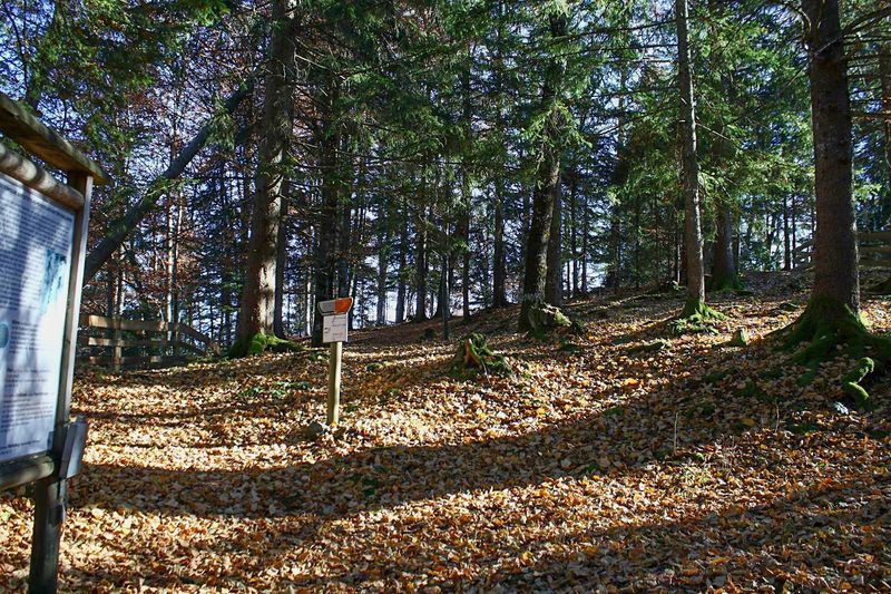 Datei:Röm.fluchtburg burgstaller 13986 2015-11-12.jpg