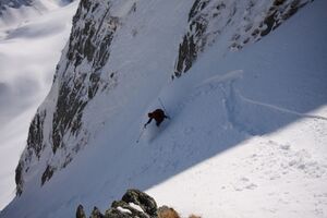 Schnabelkar 5550 2012-03-20.jpg