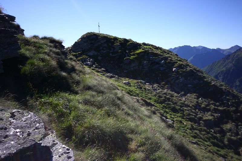 Datei:Spateck 95786 2015-07-11.jpg