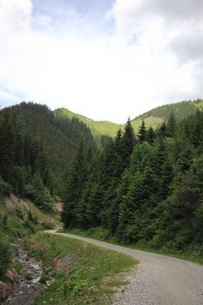 Datei:Stillbachgraben oppenberg 78035 2018-06-11.jpg