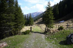 Strickerkar 55617 2014-05-02.jpg