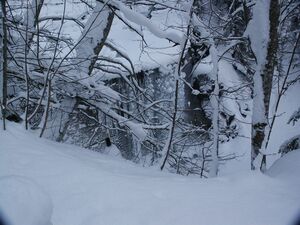 Talbachklamm 05-02-04 7941.jpg