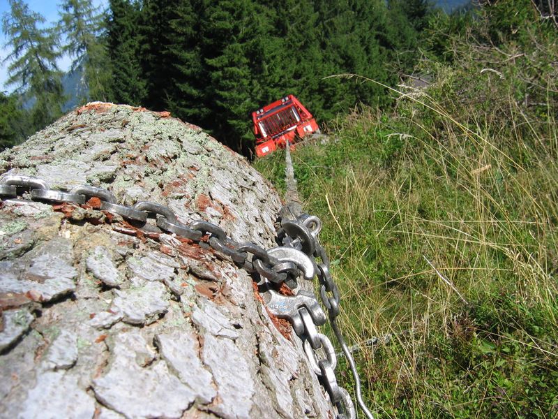 Datei:Aug,sept 09 018.jpg