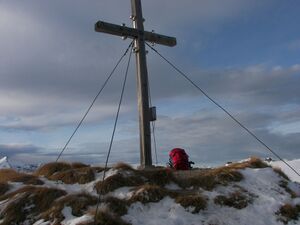 Guschen 47887 2007-01-18.jpg