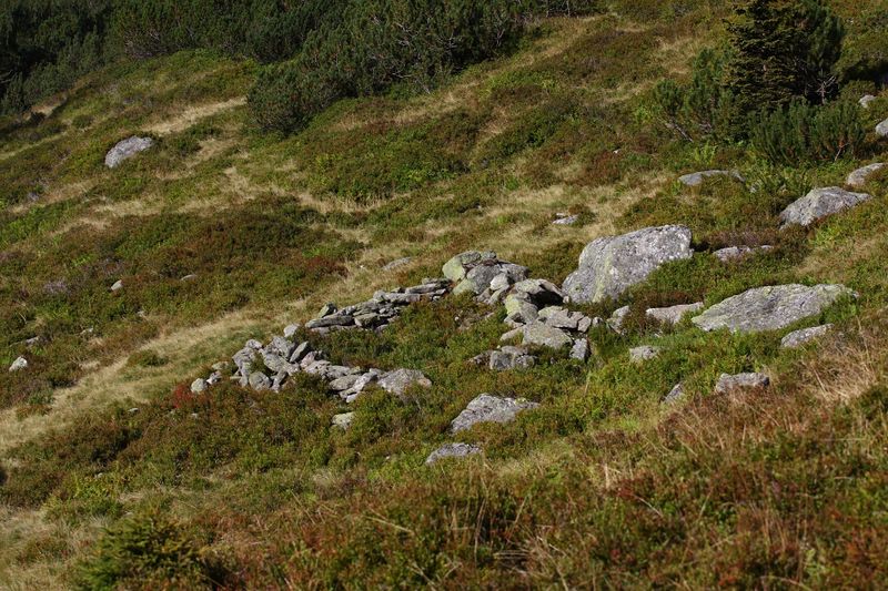 Datei:Lassachalm (Alm) 02506 2015-08-28.jpg