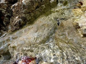 Mühlbach (Aicherlstein)0935.JPG