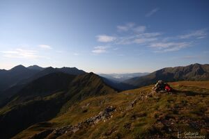 NageleckIMG 5378.jpg