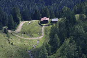 Ob. moseralm 94027 2015-06-26.jpg