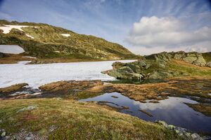 Sabinkar 89724 2015-06-08.jpg