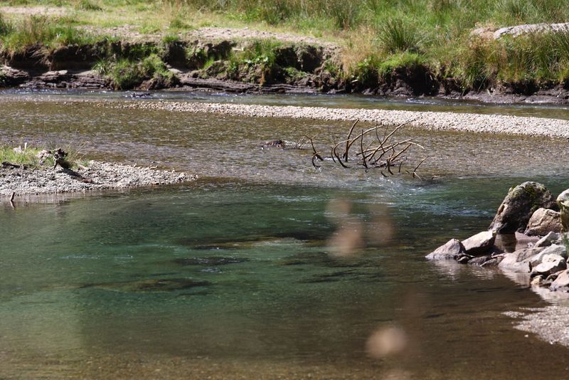 Datei:Schwarzenseebach kleinsölk 99259 2015-08-28.jpg