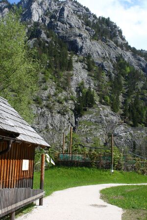 Weidendom gesäuse 56963 2014-05-05.jpg