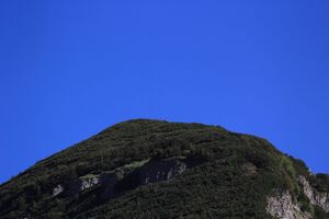 Bräuningzinken 50614 2017-06-11.jpg