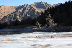 Duisitzkarsee 14347 2011-11-30.jpg