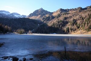 Duisitzkarsee 14382 2011-11-30.jpg
