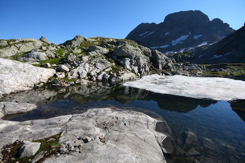 Datei:Goldlacken 0395 2008-08-12.jpg