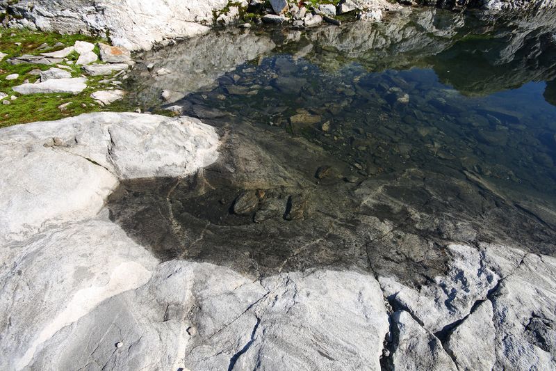 Datei:Goldlacken 0396 2008-08-12.jpg