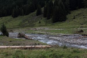 Großsölkbach hüttfeldalm 55502 2017-08-13.jpg