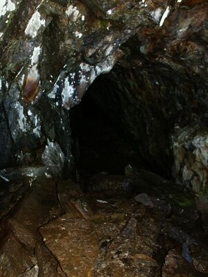 Grubachkar elendberg 3605 2005-07-04.JPG