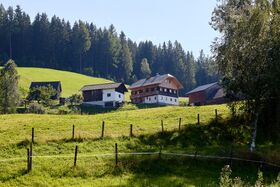 Gruberhof michaelerberg Ost-0170-2023-08-14.jpg