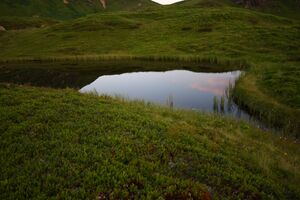 Krottenseen 1733 13-08-05.jpg