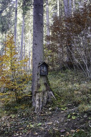 MA leo neuper-0001-2021-10-30.jpg