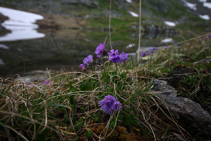 Datei:Mitterer Hüttkarsee 75431 2012-06-29.jpg