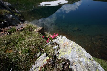Mittlerer Hüttkarsee 75499 2012-06-29.jpg