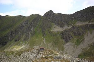 Neualmkar graunock 57438 2017-08-22.jpg