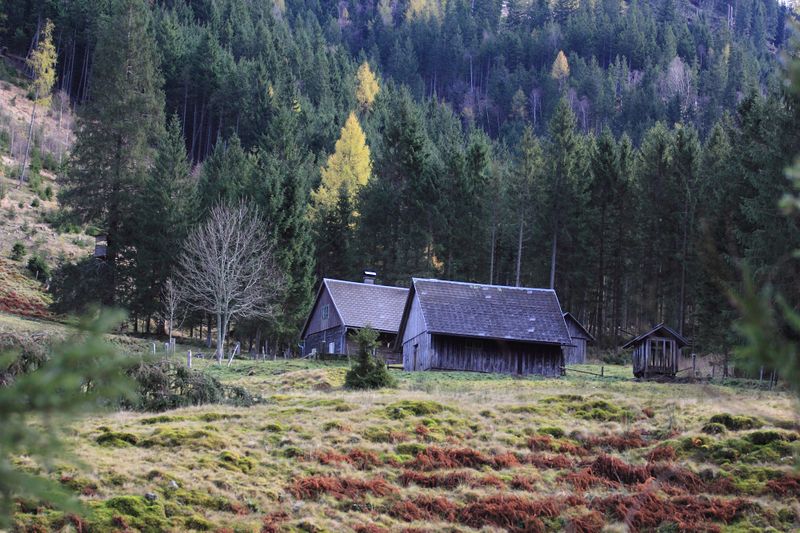 Datei:Postlehen mittereggtal 63512 2017-11-02.jpg