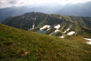 Riednerseen 65444 2014-06-26.jpg
