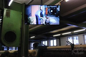 Steiner1888 Wollwelt 04.jpg