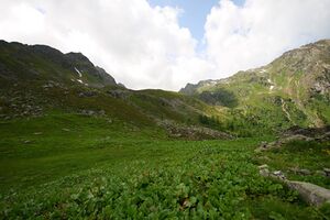 Wildkar 1923 2008-06-26.jpg