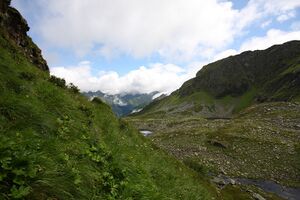 Wildkar 2249 2009-07-25.jpg