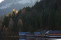 Altausseersee 79266 2014-11-15.jpg