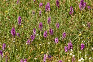 BH schlagerbauer-0272-2022-05-18.jpg