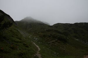 Brotrinndl 2678 2011-07-20.jpg