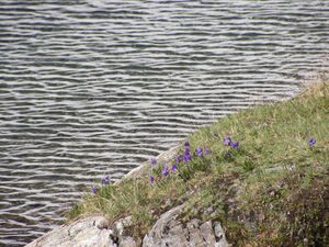 Buckelkarsee 16046 2006-07-03.jpg