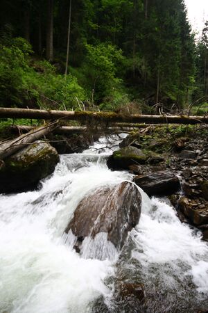 Dürrenbach haus 28040 2016-06-26.jpg