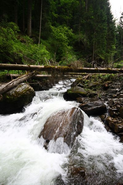 Datei:Dürrenbach haus 28040 2016-06-26.jpg