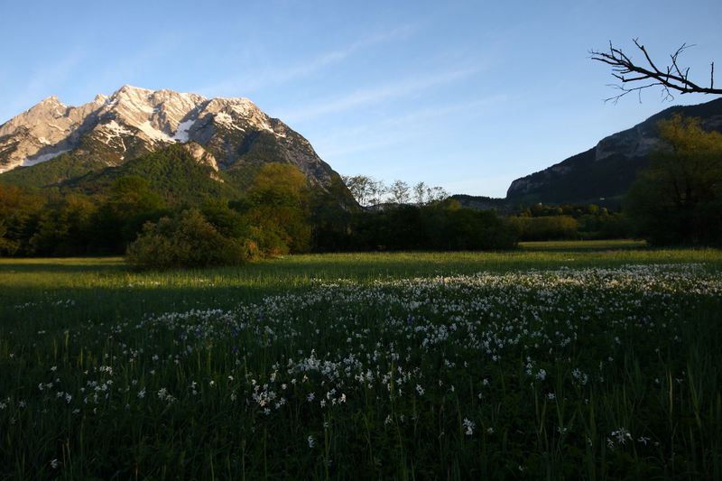 Datei:Feuchtwiesen trautenfels6021.jpg