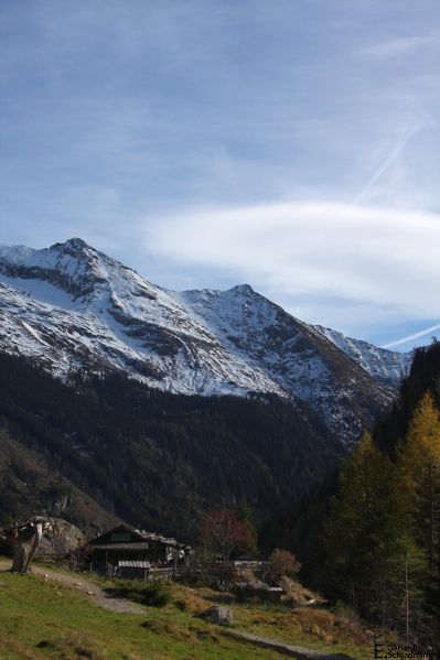 Datei:GfölleralmIMG 1790.jpg