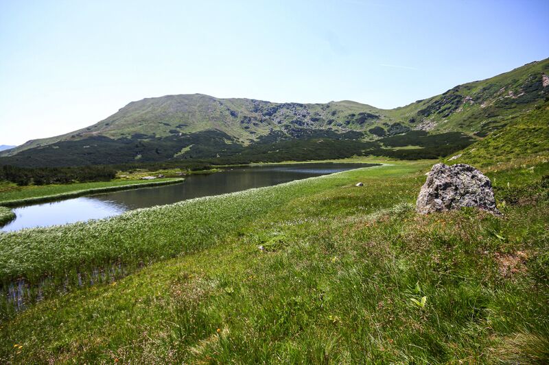 Datei:Goldbachsee 1667 13-08-05.jpg