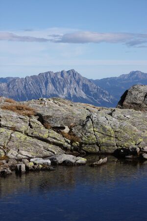 Goldlacken 0408 2013-10-08.jpg