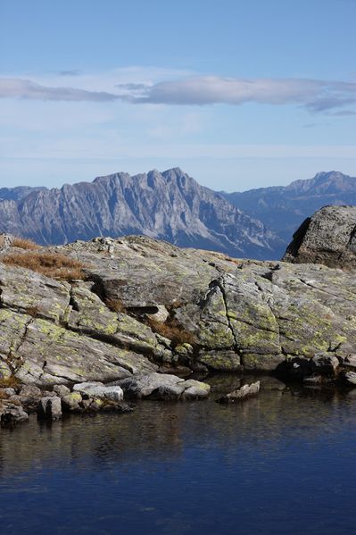 Datei:Goldlacken 0408 2013-10-08.jpg