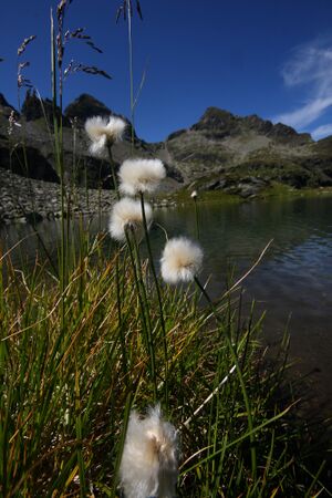 Grubersee planaiHW 0846 2011-08-11.jpg