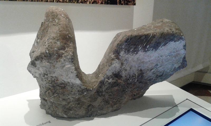 Datei:Karrenbildung 1.jpg