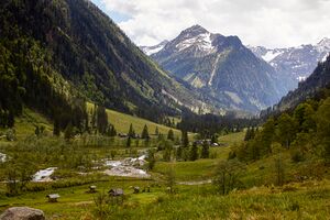 Kleinsölker obertal-1003-2020-06-02.jpg